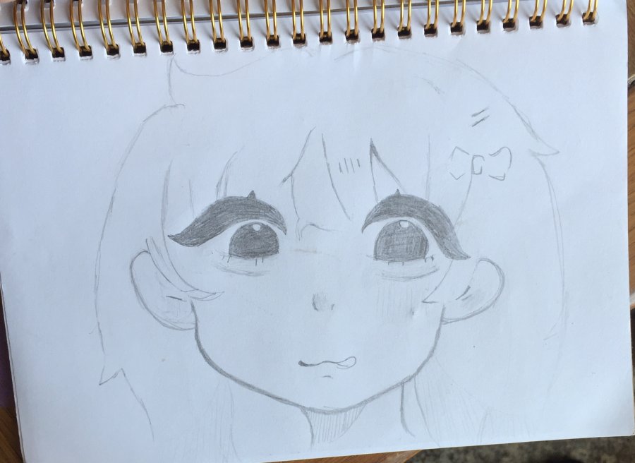 Hình ảnh sản phẩm